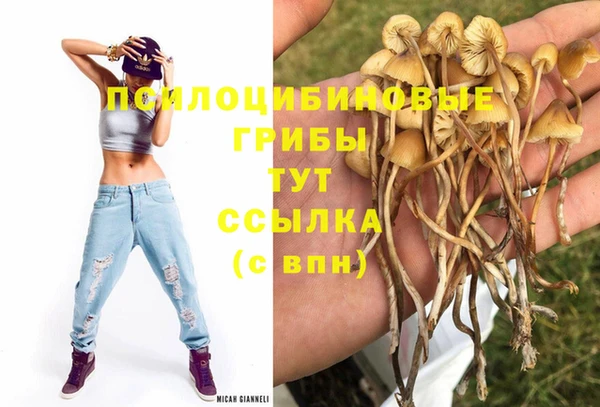 ешки Нея