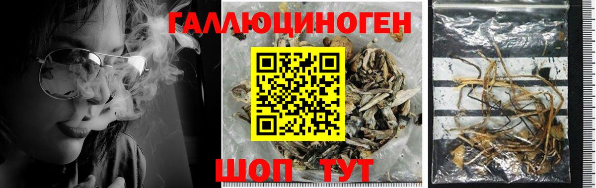 Галлюциногенные грибы MAGIC MUSHROOMS Якутск